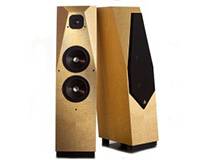 AVALON ACOUSTICS